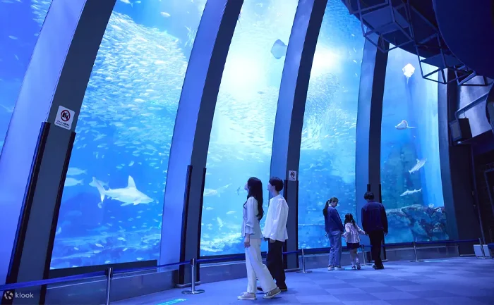 橫濱八景島海島樂園